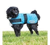 WeatherBeeta Therapy-Tec Cooling Dog Coat, Blue, 30cm