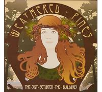 Weathered Pines - The Sky Between the Buildings