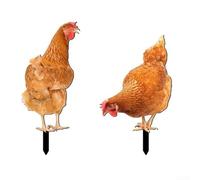Weatherproof Acrylic Chicken Sculpture Eye Catching Yard Art for Outdoor Spaces (Combination)