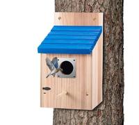 Weatherproof Wooden Outdoor Bird House, Sky Blue Slanted Roof Nesting Box | Thickened Solid Wood Construction, Metal-Reinforced Predator-Resistant Entrance, Round Perch for Bluebirds, Wrens, and
