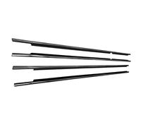 Weatherstrip Seal Belt Compatible with Toyota for Land for Cruiser LC100 1998-2006 2007 Car Window Weatherstrips Side Door Glass Trim Seal Belts Moulding(Chrome)