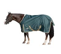 Weaver Equine Turnout Horse Rain Sheet, Waterproof Horse Turnout Sheet with Hole Mesh Lining, Multi-Purpose Protective Equestrian Gear, 81", Green