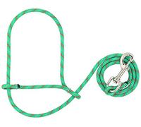 Weaver Leather 1/4" (6.35mm) Sheep Head Collar - Turquoise/Orange/Grey