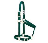 Weaver Leather Basic Adjustable Nylon Halter, Hunter Green, 1" Average Horse
