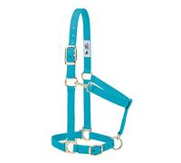 Weaver Leather Basic Adjustable Nylon Halter, Turquoise, 1" Large Horse