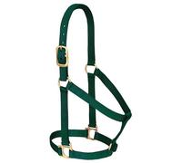 Weaver Leather Basic Non-Adjustable Halter, Hunter Green, Small Horse Size