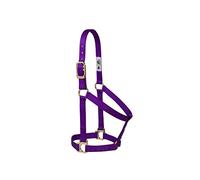 Weaver Leather Basic Non-Adjustable Nylon Horse Halter, Purple, 1" Average Horse