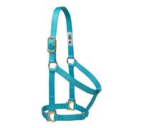 Weaver Leather Basic Non-Adjustable Nylon Horse Halter, Turquoise, 1" Large Horse