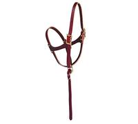 Weaver Leather Figure-8 Foal Halter