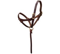 Weaver Leather Figure 8 Foal Halter, 5/8" Suckling, Oiled Canyon Rose