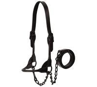 Weaver Leather Livestock Black Magic Show Halter, Large