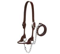 Weaver Leather Livestock Dairy/Beef Rounded Show Halter, Medium, Brown