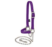 Weaver Leather Livestock Nylon Adjustable Sheep Halter with Chain Lead Purple Jazz, Average