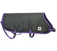 Weaver Leather Livestock Pro Calf Blanket, Black, Small