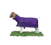 Weaver Leather Livestock ProCool Mesh Goat Blanket with Reflective Piping Purple, Extra Small