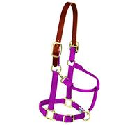 Weaver Leather Nylon Adjustable Breakaway Horse Halter, Average, Raspberry