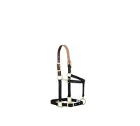Weaver Leather Nylon Adjustable Breakaway Horse Halter, Small, Black