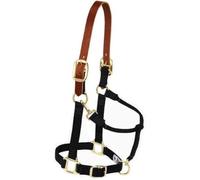Weaver Leather Nylon Adjustable Breakaway Horse Halter, Yearling, Black
