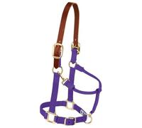 Weaver Leather Nylon Adjustable Breakaway Horse Halter, Yearling, Purple