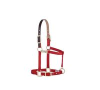 Weaver Leather Nylon Adjustable Breakaway Horse Halter, Yearling, Red