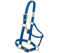 Weaver Leather Nylon Adjustable Draft Horse Halter Blue, Large Draft, Wide