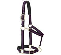 Weaver Leather Nylon Horse Halter, Padded and Adjustable, Chin and Throat Snap Hook Halters for Horses, Brass Plated Halters for Training