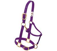Weaver Leather Nylon Miniature Horse Adjustable Halter Purple