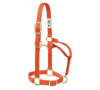 Weaver Leather Original Adjustable Nylon Horse Halter, Average Horse, Orange