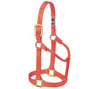 Weaver Leather Original Non Adjustable Halter Med. Blaze Orange