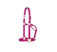 Weaver Leather Original Non Adjustable Halter (Raspberry, Avarage Horse/Yearling Draft)
