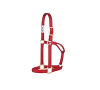 Weaver Leather Original Non Adjustable Halter (Red, Avarage Horse/Yearling Draft)