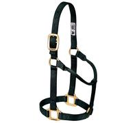 Weaver Leather Original Non-Adjustable Nylon Horse Halter Black, Weanling/Pony