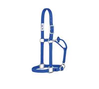 Weaver Leather Original Non-Adjustable Nylon Horse Halter, Blue, Yearling