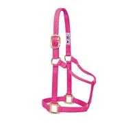 Weaver Leather Original Non-Adjustable Nylon Horse Halter, Large, Diva Pink
