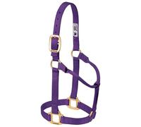 Weaver Leather Original Non-Adjustable Nylon Horse Halter Purple, Weanling/Pony