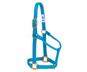 Weaver Leather Original Non-Adjustable Nylon Horse Halter, Small, Hurricane Blue