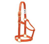 Weaver Leather Original Non-Adjustable Nylon Horse Halter, Small, Orange