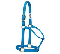 Weaver Leather Original Non-Adjustable Nylon Horse Halter, Yearling, Hurricane Blue