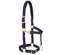 Weaver Leather Padded Adjustable Nylon Horse Halter, Purple, 1" Large Horse