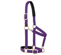 Weaver Leather Padded Breakaway Adjustable Chin and Throat Snap Halter, 1" Average Horse or Yearling Draft, Purple
