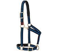 Weaver Leather Padded Breakaway Adjustable Chin and Throat Snap Halter, 1" Average Horse or Yearling Draft, Blue Striped
