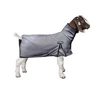 Weaver Leather ProCool™ Goat Blanket with Reflective Piping, Medium, Gray