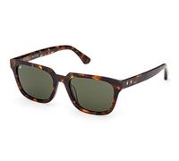 Web Eyewear WE0391 52N Men's Sunglasses Tortoiseshell Size 53