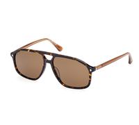 Web Eyewear Web WE0338 Polarized 52H Men's Sunglasses Tortoiseshell Size 59