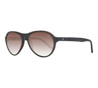 Web Eyewear Women's WE0128-5452G Sunglasses in Brown Web Eyewear Brown One Size