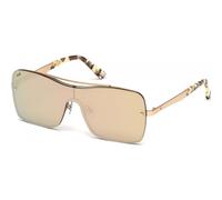 Web Eyewear Women's WE0202-34G Sunglasses in Brown Web Eyewear Brown One Size