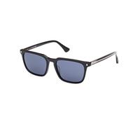 Web Man WE0369 01V Sunglasses Acetate Black Blue Squared Normal