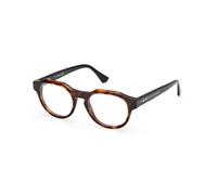 Web Unisex WE5421 055 Optical frames Acetate Havana Round Normal