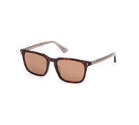 Web WE0369 56E Man Sunglasses Acetate Havana Brown Squared Normal