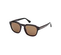 Web WE0370 56J Man Sunglasses Acetate Havana Brown Round Normal